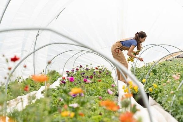 Quels sont les critères de certification bio ?