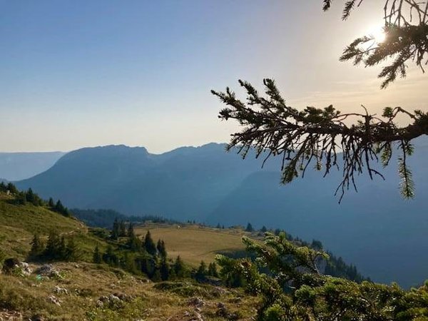 Vacances durables : Votre guide complet pour choisir un camping écologique dans les Hautes-Alpes