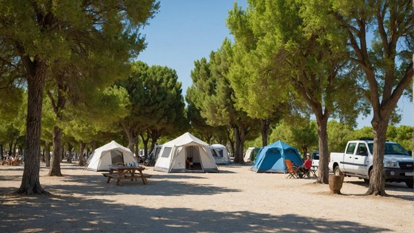 Découvrez le meilleur camping à arles en camargue : crin blanc